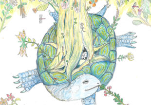 “Garden Turtle” 和名：庭亀（ニワガメ）