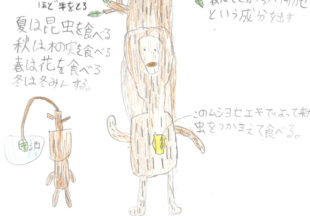 クチキトオモッタラ
