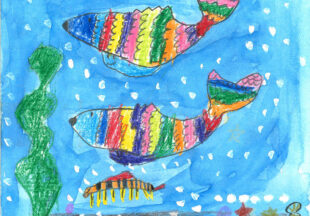 レインボーフィシュ