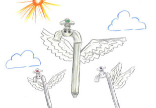 フォーセットバード