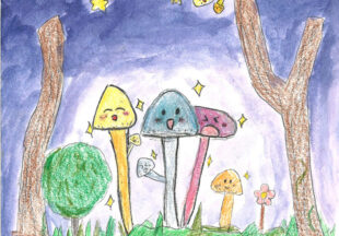 ぴかぴかきのこ