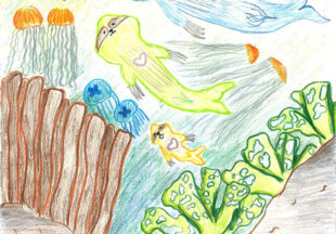 マーキング・スローホエール