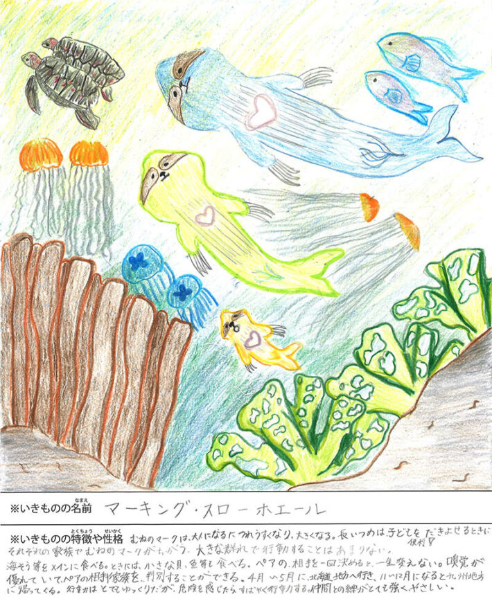 マーキング・スローホエール