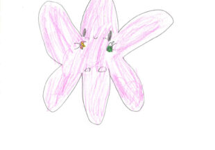 雲のようせいモックリ