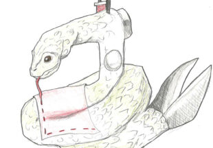 ソーイングスネーク