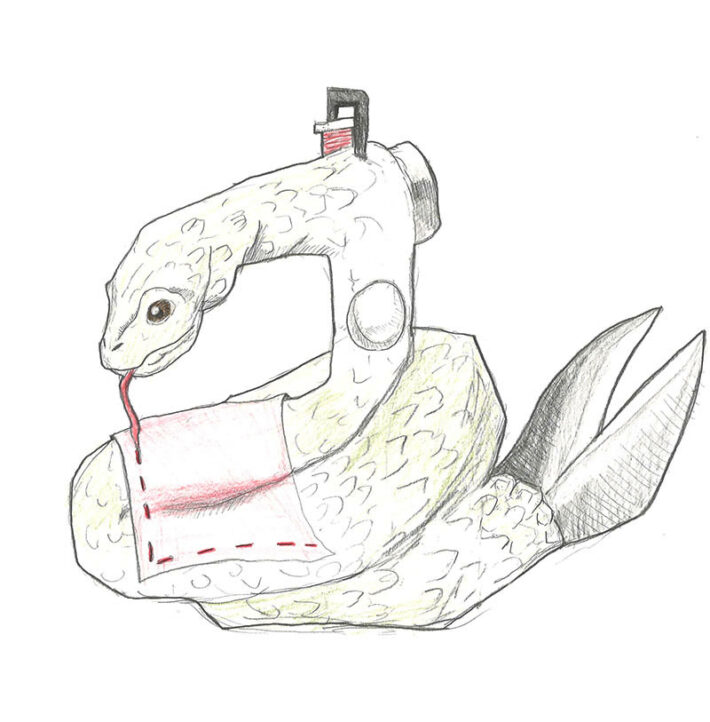 ソーイングスネーク