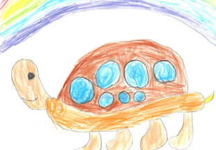 カメカメツアーバス