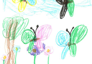 スパイチョウチョ