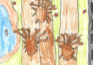 六つのカブト虫