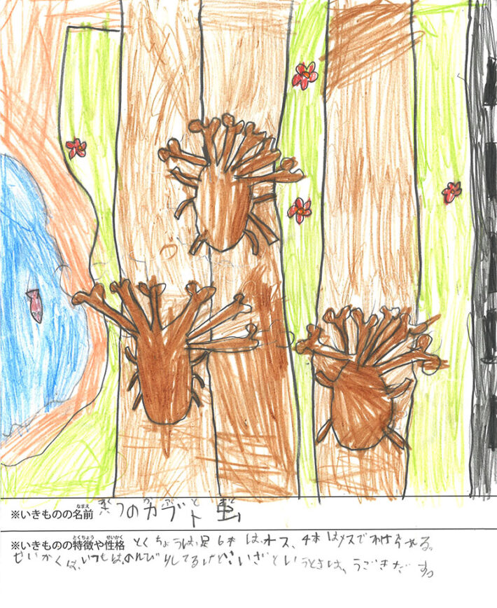 六つのカブト虫