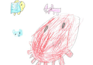 たこSUN（さん）