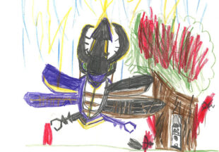 クワクレスオオカブト