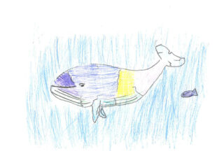 がらすのくじら