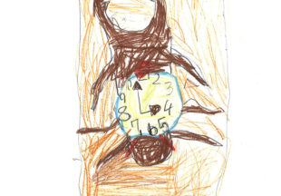 とけいくわがた