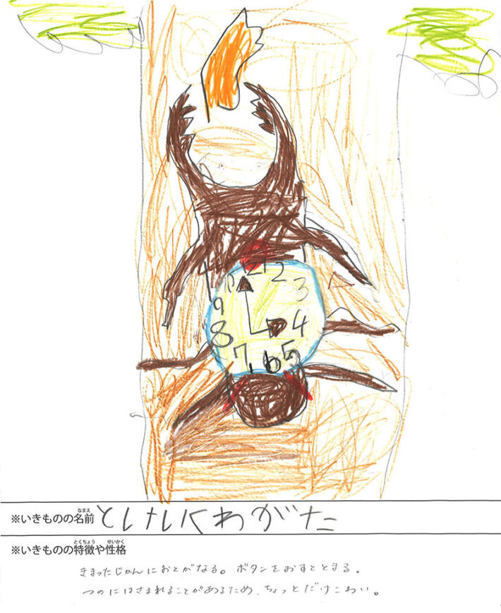 とけいくわがた